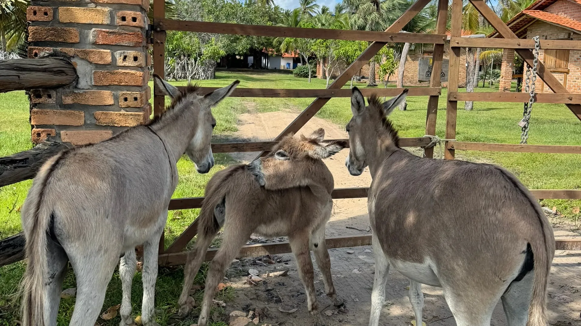Contato Rancho do Buna