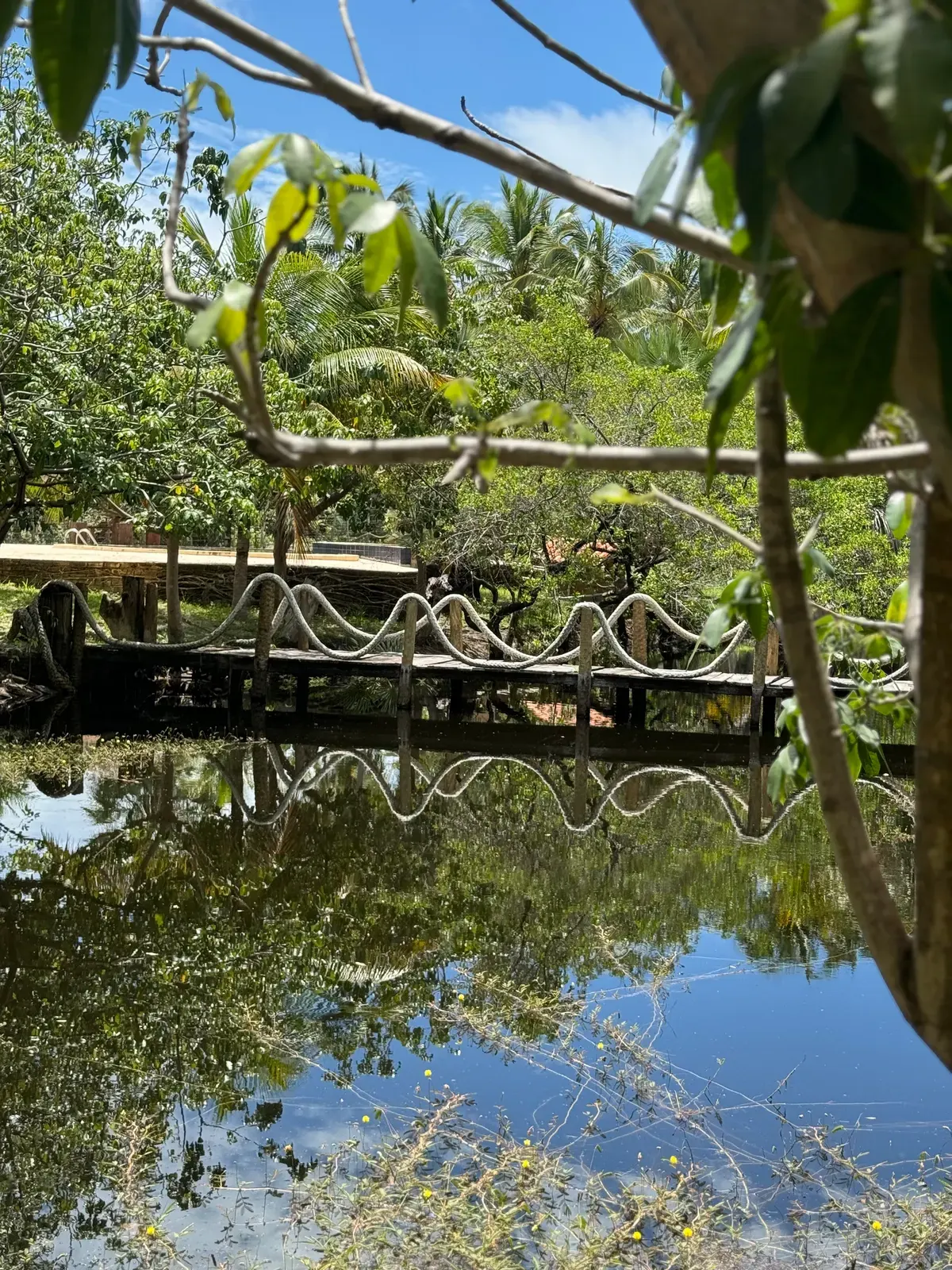Ponte de madeira com corrimão de corda, refletida na água entre as árvores