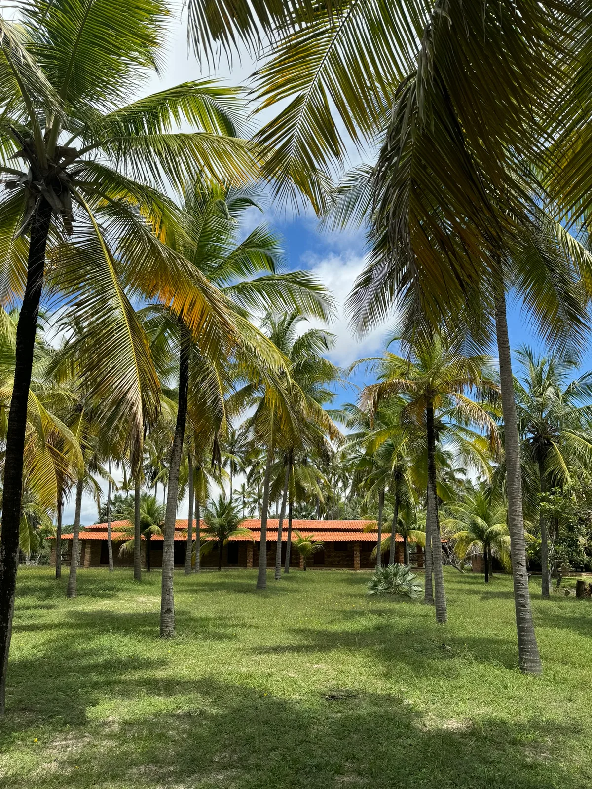 Coconut grove and suites